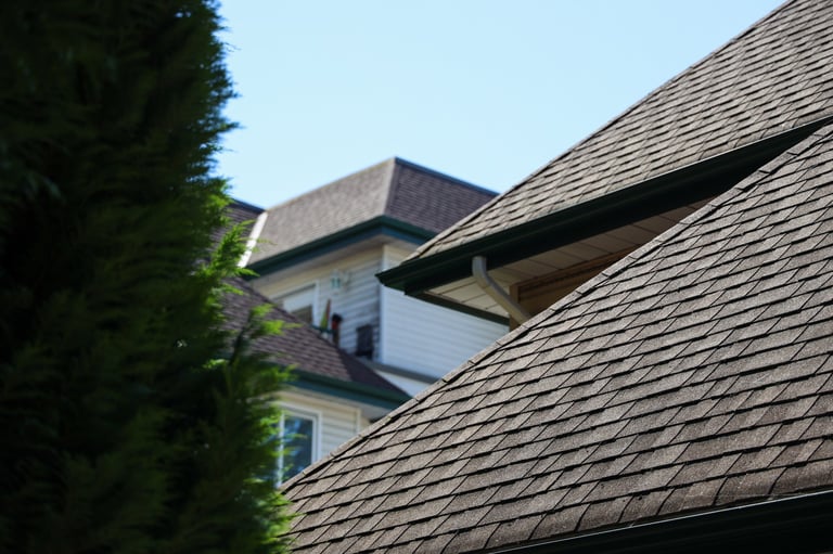 House roof with tree next to